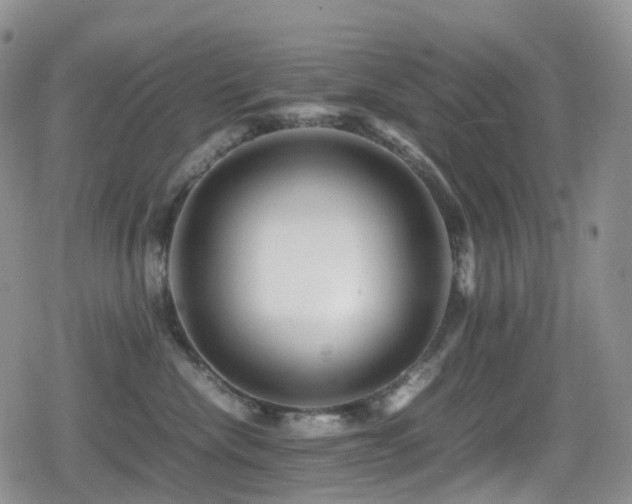 X0000080750476200612151319