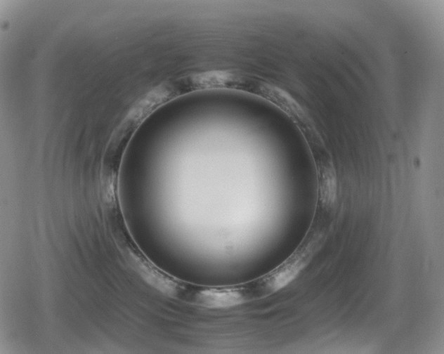 X0000080750477200612151319