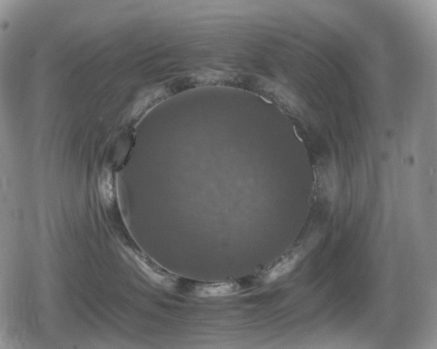 X0000080750479200612151319