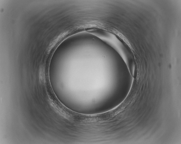 X0000080750482200612151318
