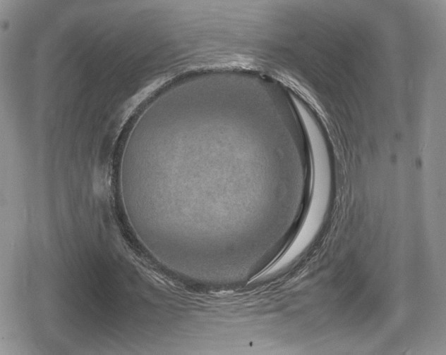 X0000080750483200612151318