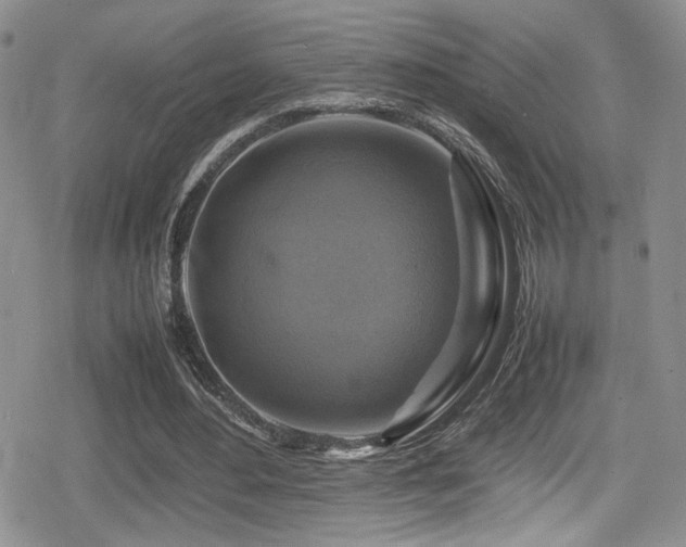 X0000080750484200612151318