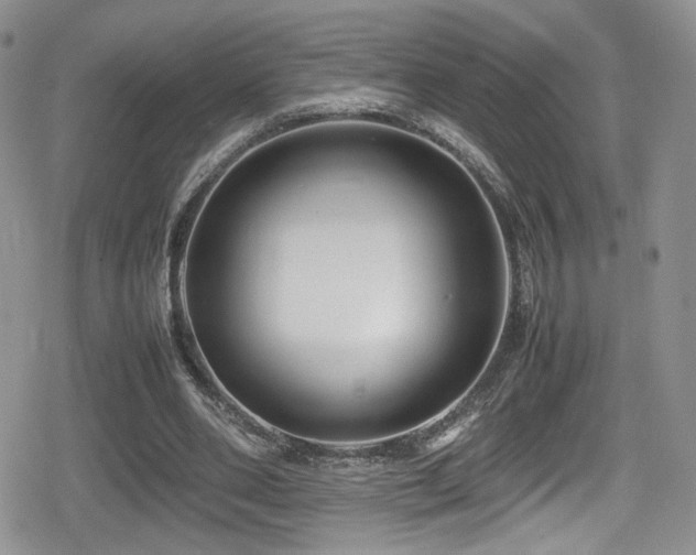 X0000080750486200612151318