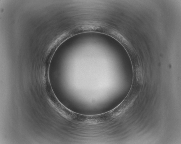 X0000080750490200612151318