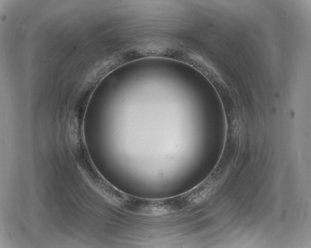 X0000080750498200612151318