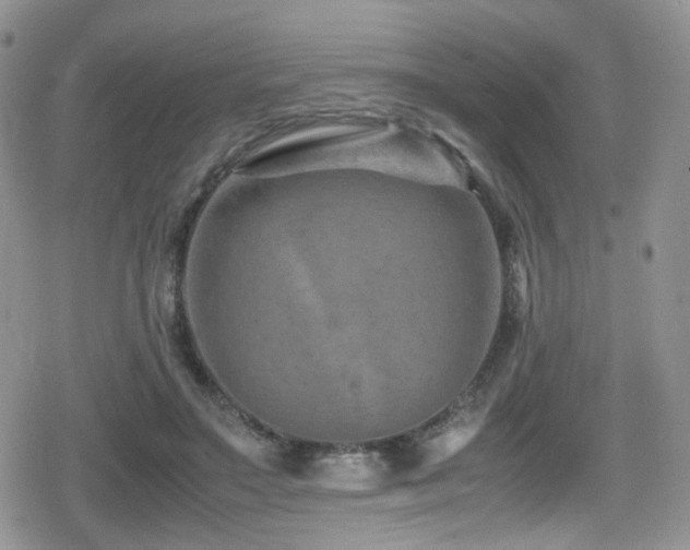 X0000080750499200612151318