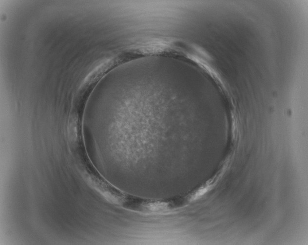 X0000080750501200612151318