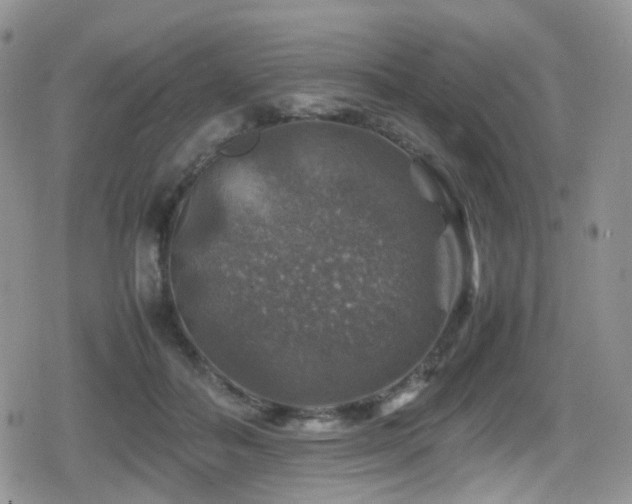 X0000080750506200612151318
