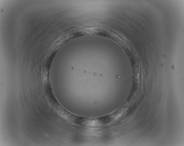 X0000080750507200612151318