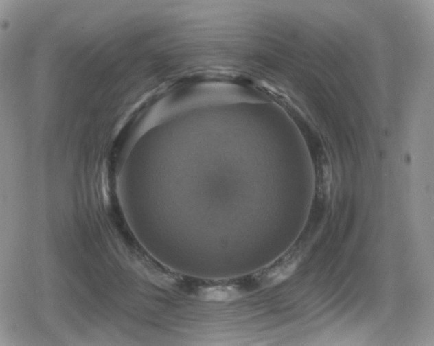 X0000080750508200612151318