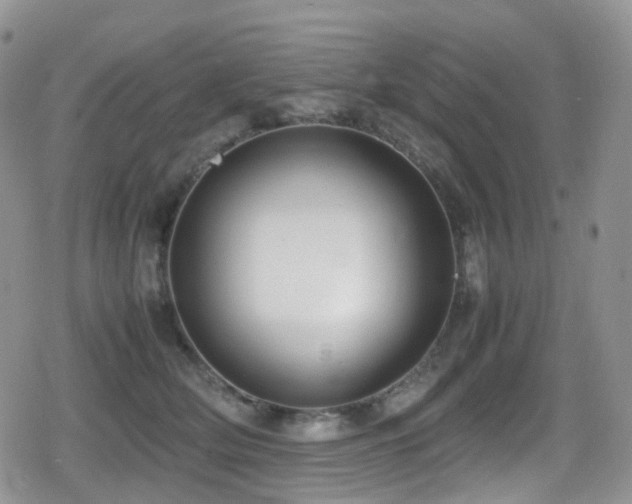 X0000080750514200612151318
