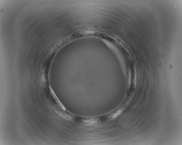 X0000080750516200612151318