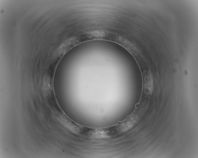 X0000080750518200612151318
