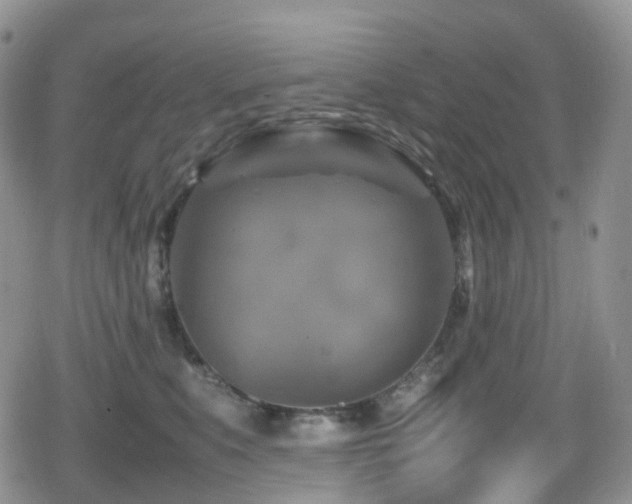 X0000080750519200612151318