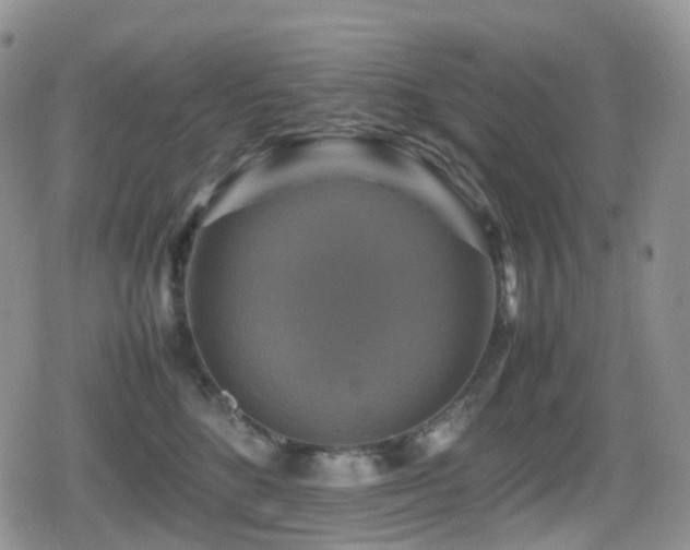 X0000080750520200612151318