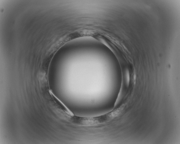 X0000080750521200612151318