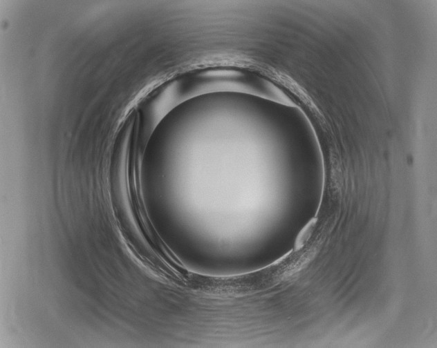 X0000080750530200612151317