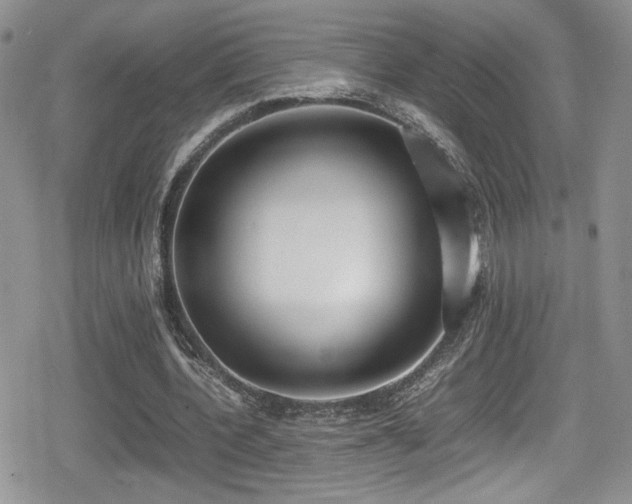 X0000080750532200612151317