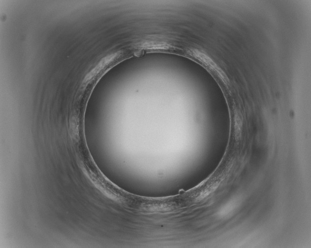 X0000080750533200612151317