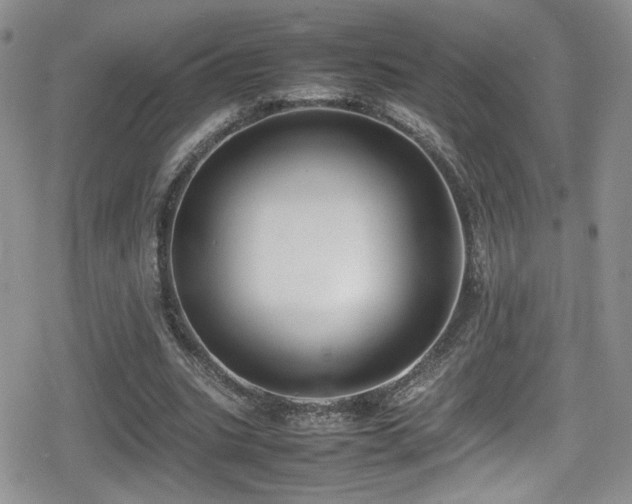 X0000080750535200612151317