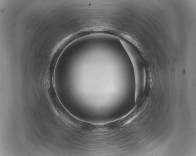 X0000080750536200612151317