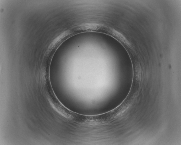 X0000080750538200612151317
