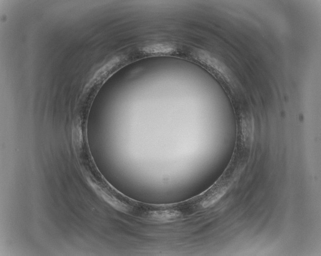 X0000080750541200612151317