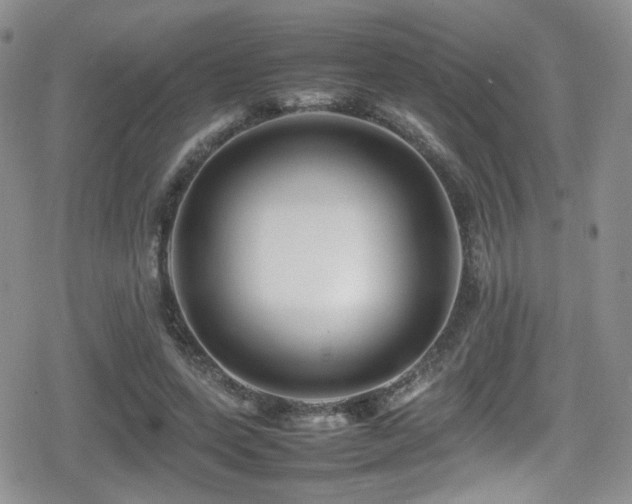 X0000080750543200612151317