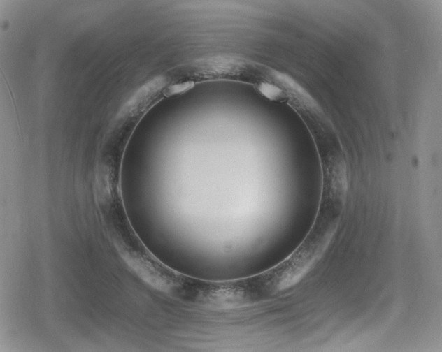 X0000080750546200612151317
