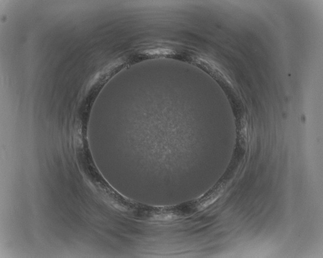 X0000080750547200612151317