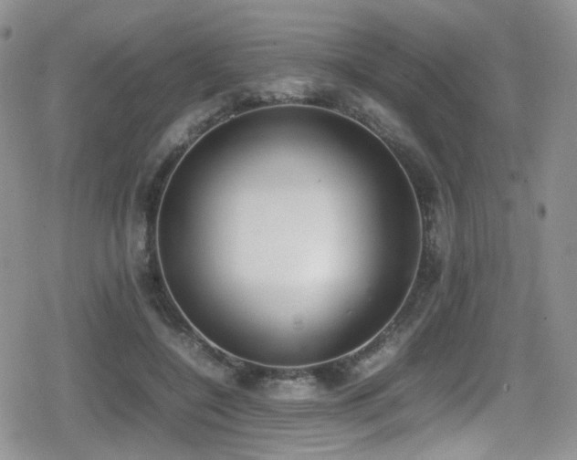 X0000080750548200612151317