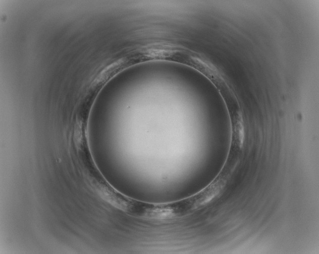 X0000080750554200612151317