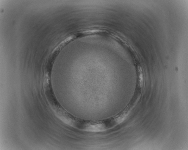 X0000080750555200612151317