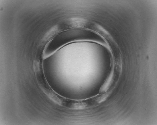 X0000080750556200612151317