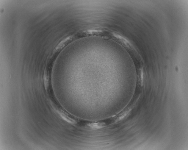 X0000080750558200612151317