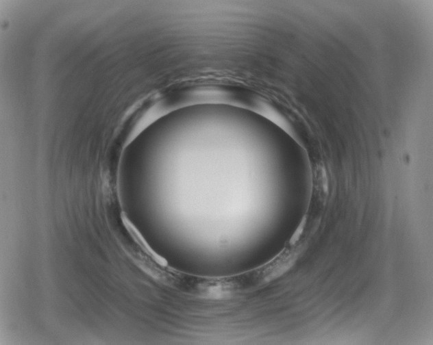 X0000080750564200612151317