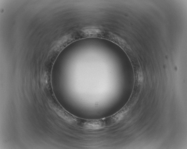 X0000080750567200612151317