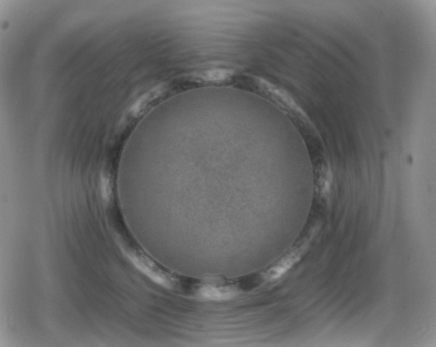 X0000080750568200612151317