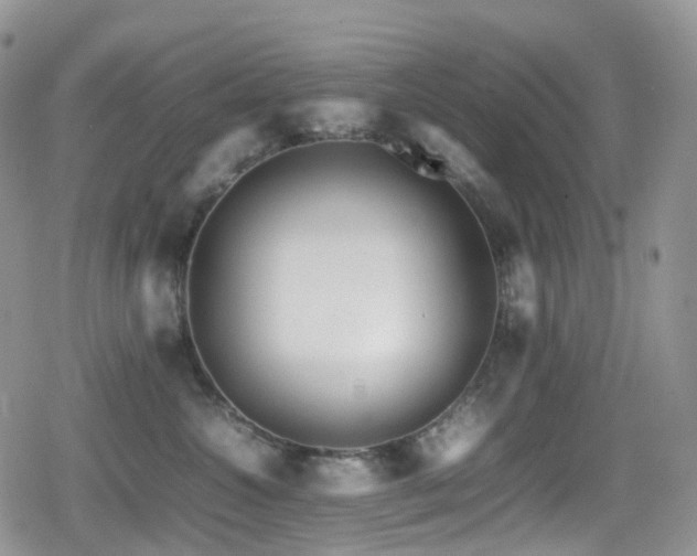 X0000080750572200612151317