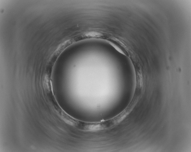 X0000080750575200612151317