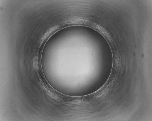 X0000080750578200612151317