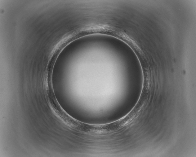 X0000080750582200612151317