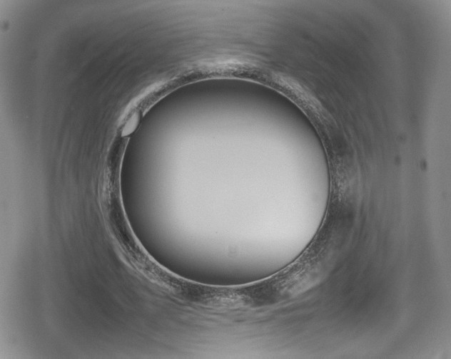 X0000080750583200612151317