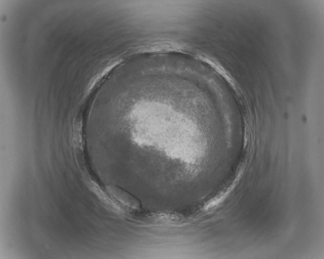 X0000080750585200612151317