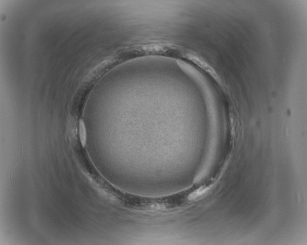 X0000080750593200612151316
