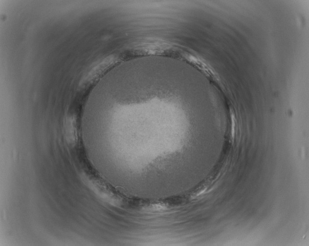 X0000080750594200612151316