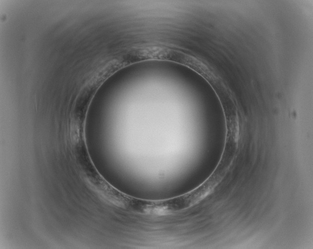 X0000080750602200612151316
