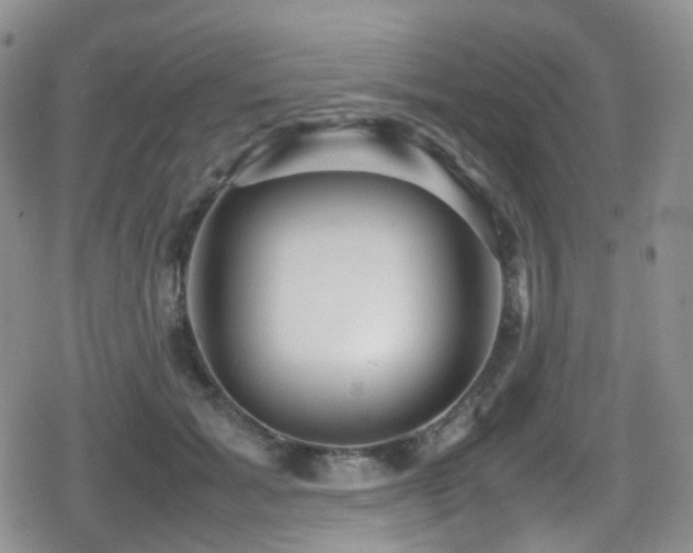 X0000080750605200612151316