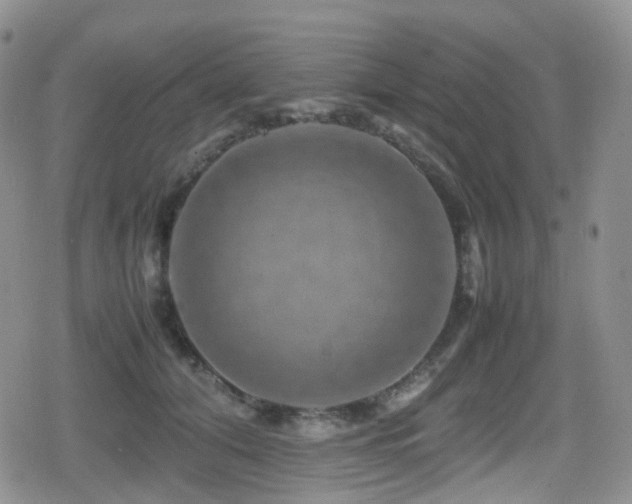 X0000080750608200612151316