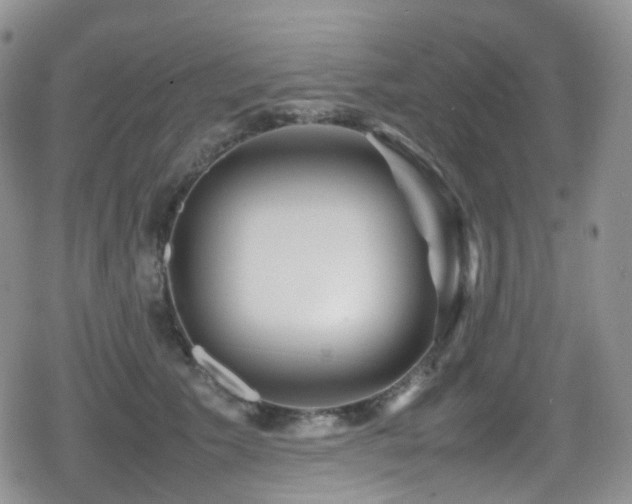 X0000080750609200612151316
